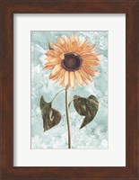 Vintage Sunflower Fine Art Print