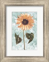 Vintage Sunflower Fine Art Print