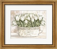 Tulips in White Chipped Pail Fine Art Print