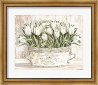 Tulips in White Chipped Pail Fine Art Print