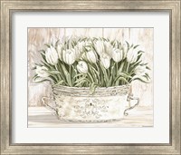 Tulips in White Chipped Pail Fine Art Print