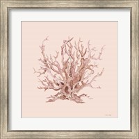 Pink Coral I Fine Art Print