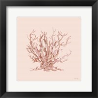 Pink Coral II Framed Print