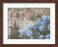 Hydrangeas Fine Art Print