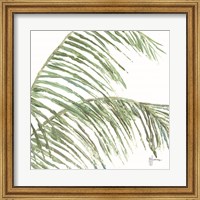 Two Palm Fronds I Fine Art Print
