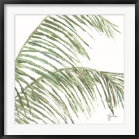 Two Palm Fronds I Fine Art Print