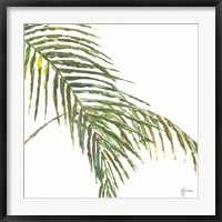 Two Palm Fronds II Fine Art Print
