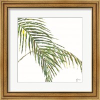 Two Palm Fronds II Fine Art Print