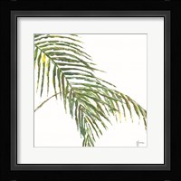 Two Palm Fronds II Framed Print