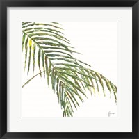 Two Palm Fronds II Framed Print