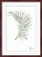 Palm Frond Viridescent Fine Art Print