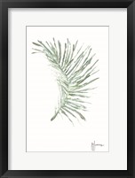 Palm Frond Viridescent Fine Art Print