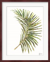 Palm Frond Vibrant Fine Art Print