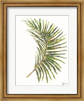 Palm Frond Vibrant Fine Art Print