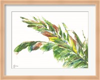 Palm Leaves Vivid Fine Art Print