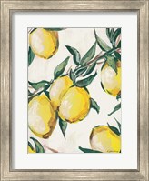Lemon Branch Fine Art Print