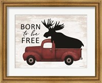 Born to be Free Moose Fine Art Print