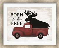 Born to be Free Moose Fine Art Print