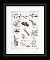 Culinary Herbs Fine Art Print