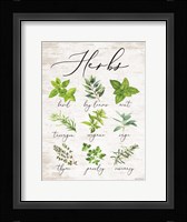 Herbs Fine Art Print