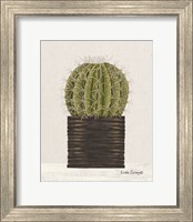 Potted Cactus Fine Art Print