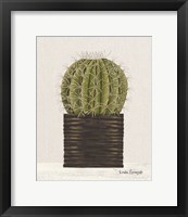 Potted Cactus Framed Print
