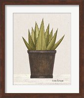 Potted Aloe Vera Fine Art Print