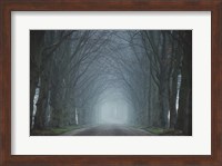 The Old Beeches Fine Art Print