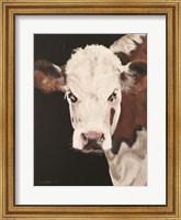 Portrait of a Hereford Fine Art Print