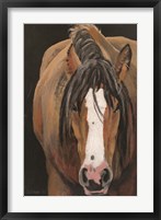 Horse Portrait II Fine Art Print