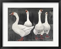 Gaggle of Geese Fine Art Print