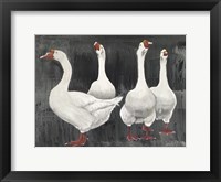 Gaggle of Geese Fine Art Print