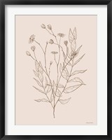 Wildflower Drawing Fine Art Print