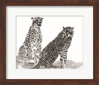Cheetahs Fine Art Print