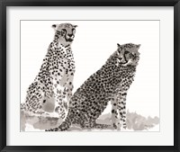 Cheetahs Fine Art Print
