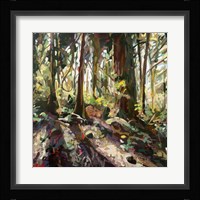 Cedar Shadows Fine Art Print