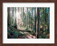Forest Light Fine Art Print