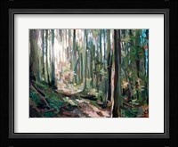 Forest Light Fine Art Print
