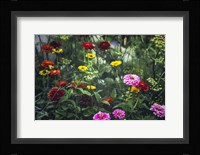 Secret Gardens Fine Art Print
