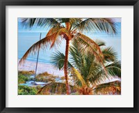 Colors of Florida Fine Art Print