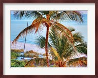 Colors of Florida Fine Art Print