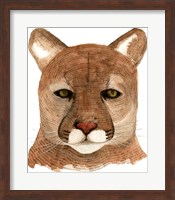 Cougar Fine Art Print