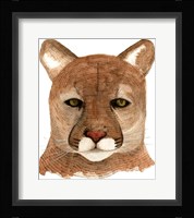 Cougar Fine Art Print