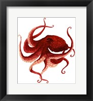 Giant Pacific Octopus - Red Fine Art Print