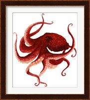 Giant Pacific Octopus - Red Fine Art Print