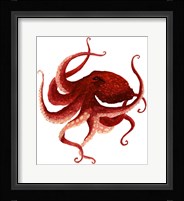 Giant Pacific Octopus - Red Fine Art Print