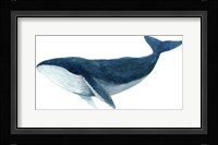 Humpback Whale - Blue Fine Art Print