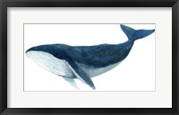Humpback Whale - Blue Fine Art Print