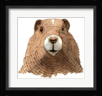 Marmot Fine Art Print