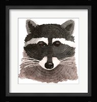 Raccoon Fine Art Print